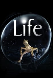 Life Season 1